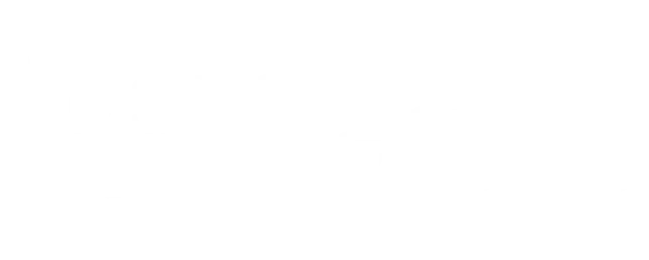 Losic Group Logo